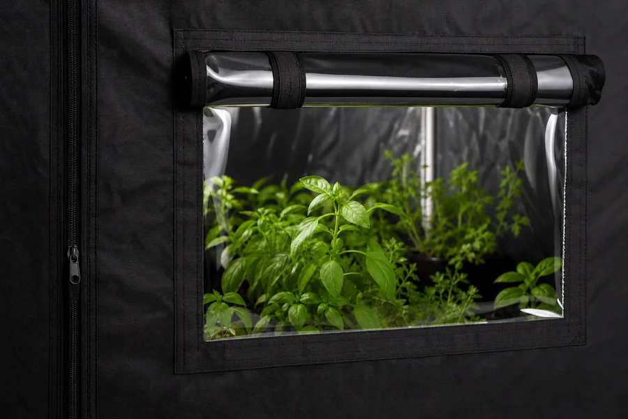 Zazzy Grow Tent lightproof observation window
